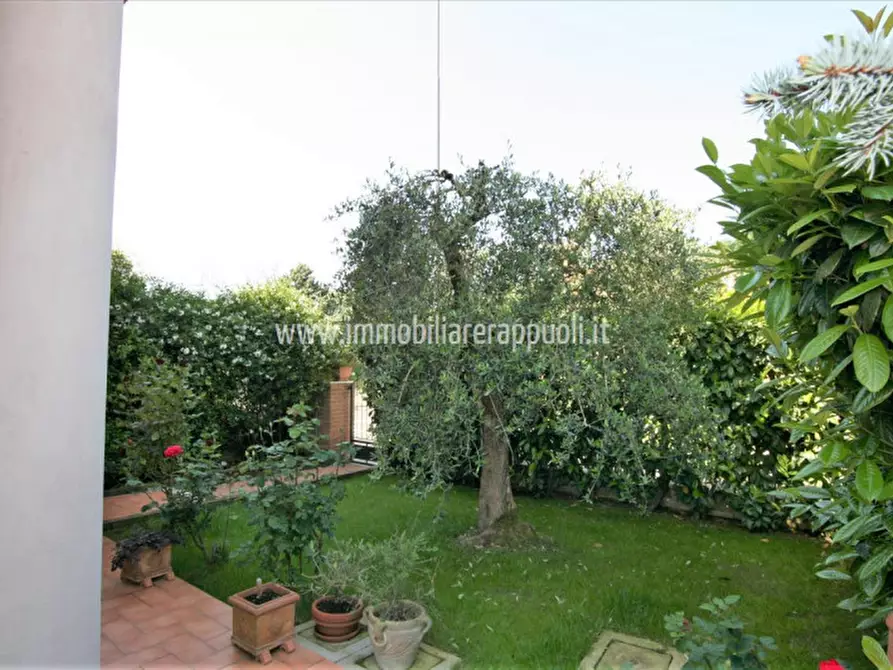 Immagine 7 di Villetta a schiera in vendita  a Sinalunga