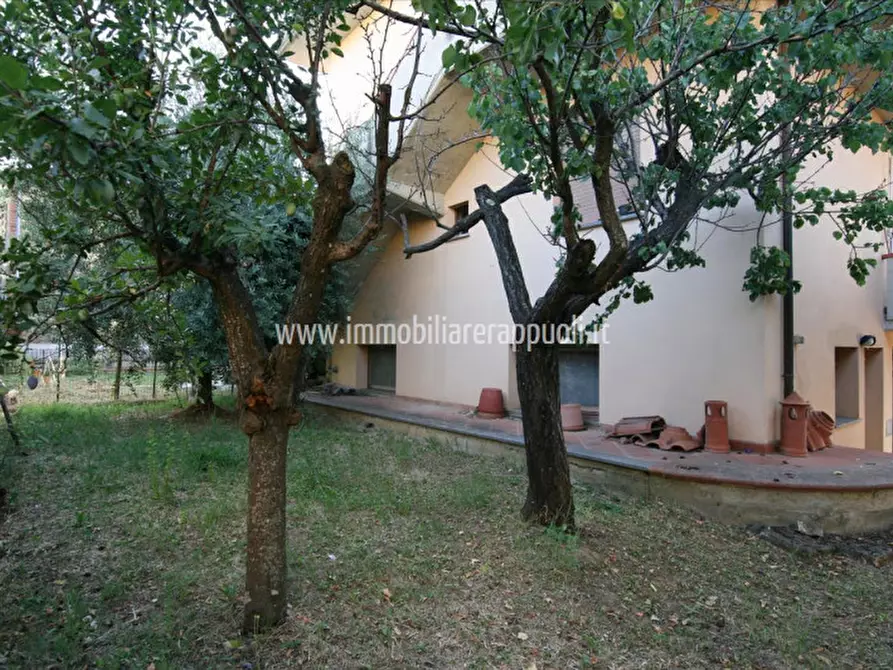 Immagine 2 di Appartamento in vendita  a Sinalunga