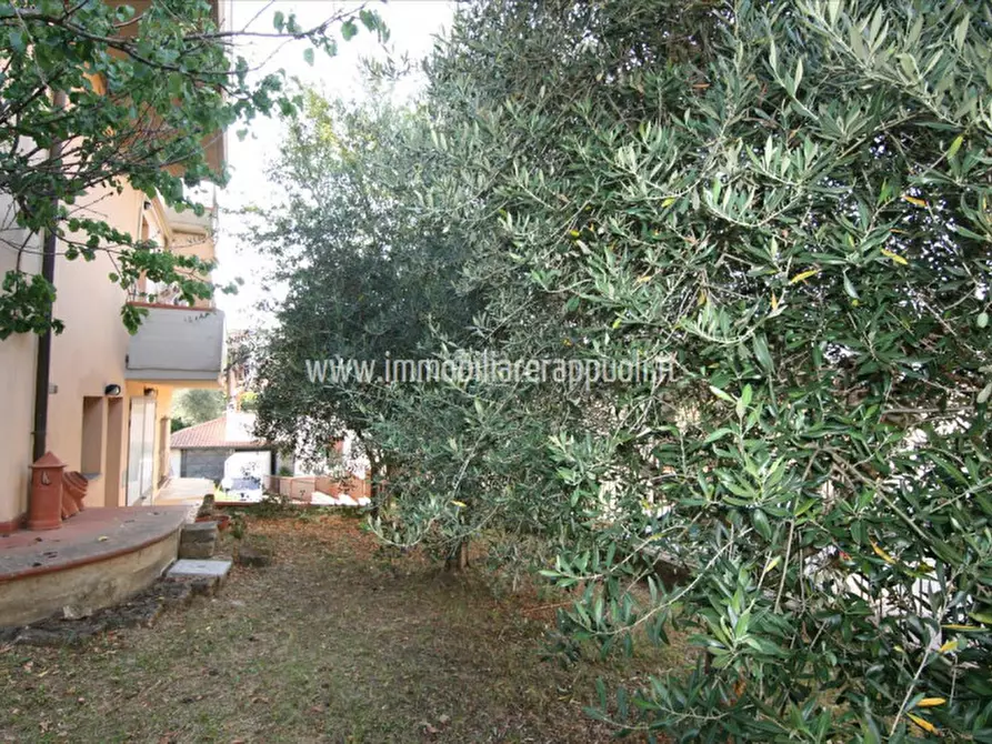 Immagine 3 di Appartamento in vendita  a Sinalunga