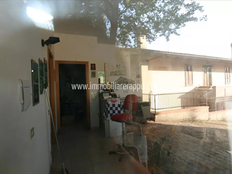 Immagine 4 di Appartamento in vendita  a Sinalunga