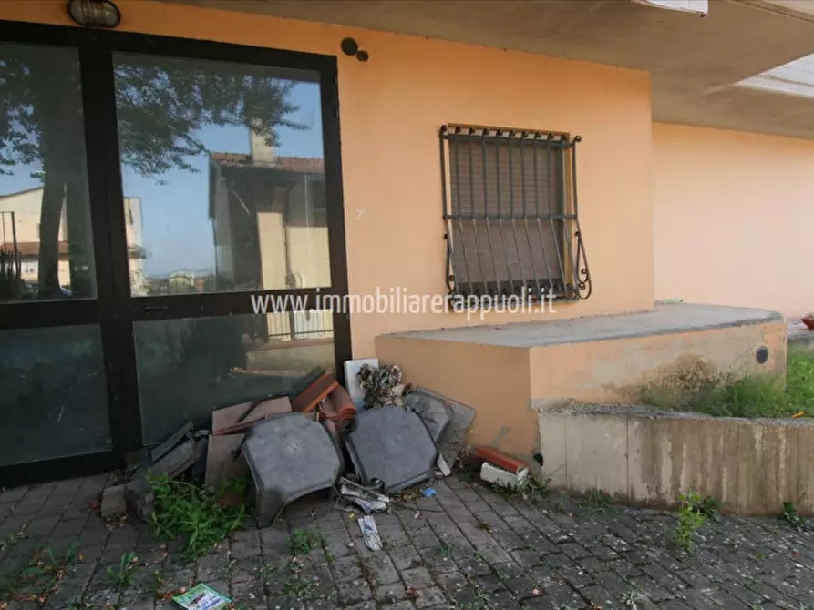 Immagine 5 di Appartamento in vendita  a Sinalunga