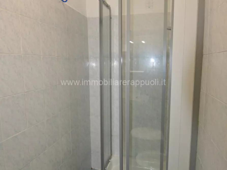 Immagine 5 di Appartamento in vendita  a Sinalunga