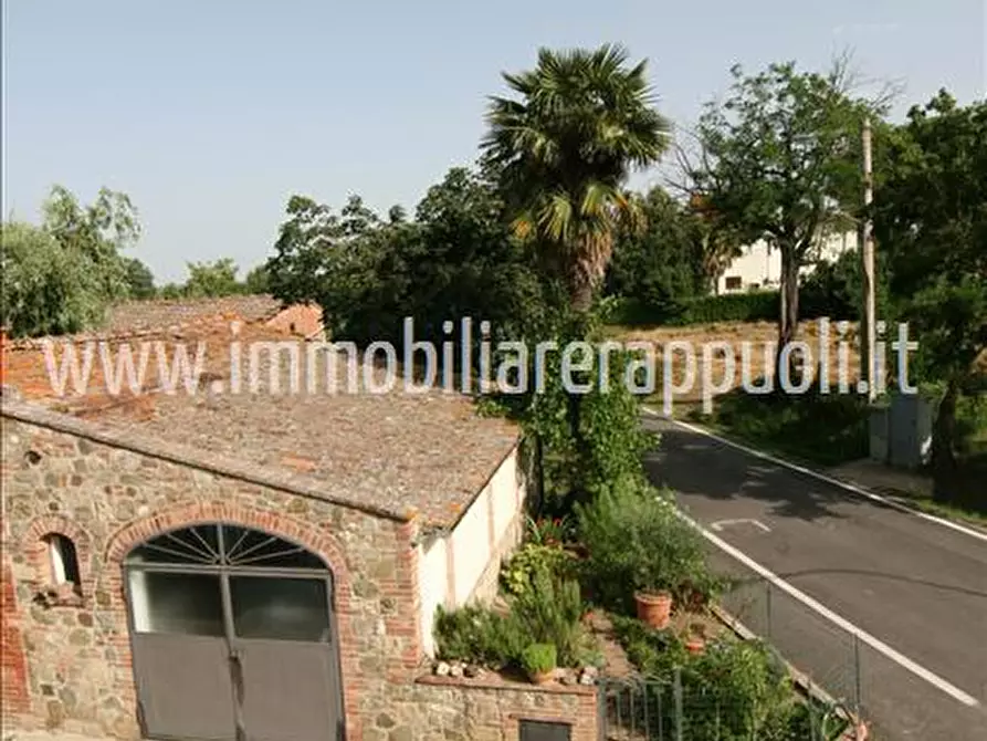 Immagine 2 di Rustico / casale in vendita  a Sinalunga
