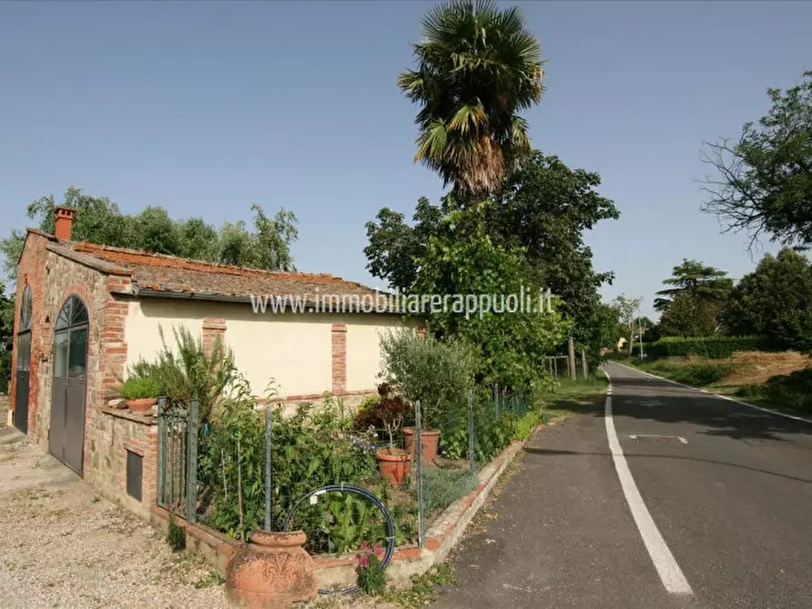 Immagine 19 di Rustico / casale in vendita  a Sinalunga