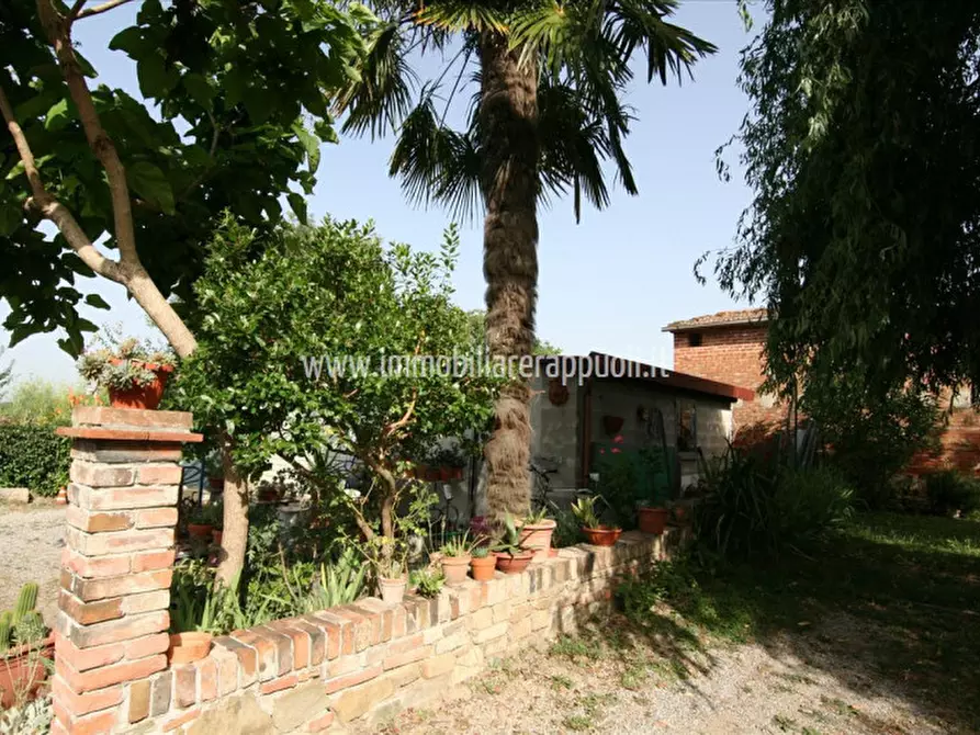 Immagine 21 di Rustico / casale in vendita  a Sinalunga