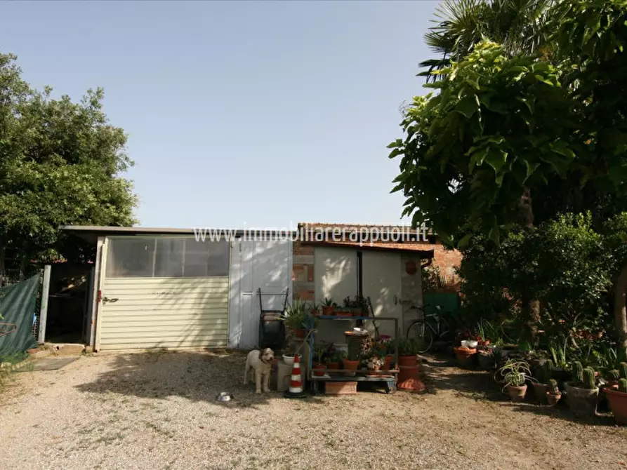 Immagine 22 di Rustico / casale in vendita  a Sinalunga