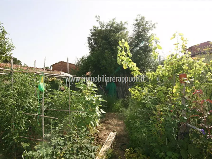 Immagine 24 di Rustico / casale in vendita  a Sinalunga