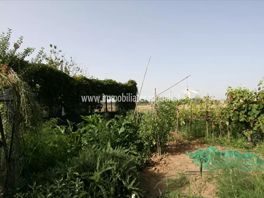 Immagine 25 di Rustico / casale in vendita  a Sinalunga