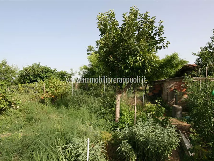 Immagine 26 di Rustico / casale in vendita  a Sinalunga