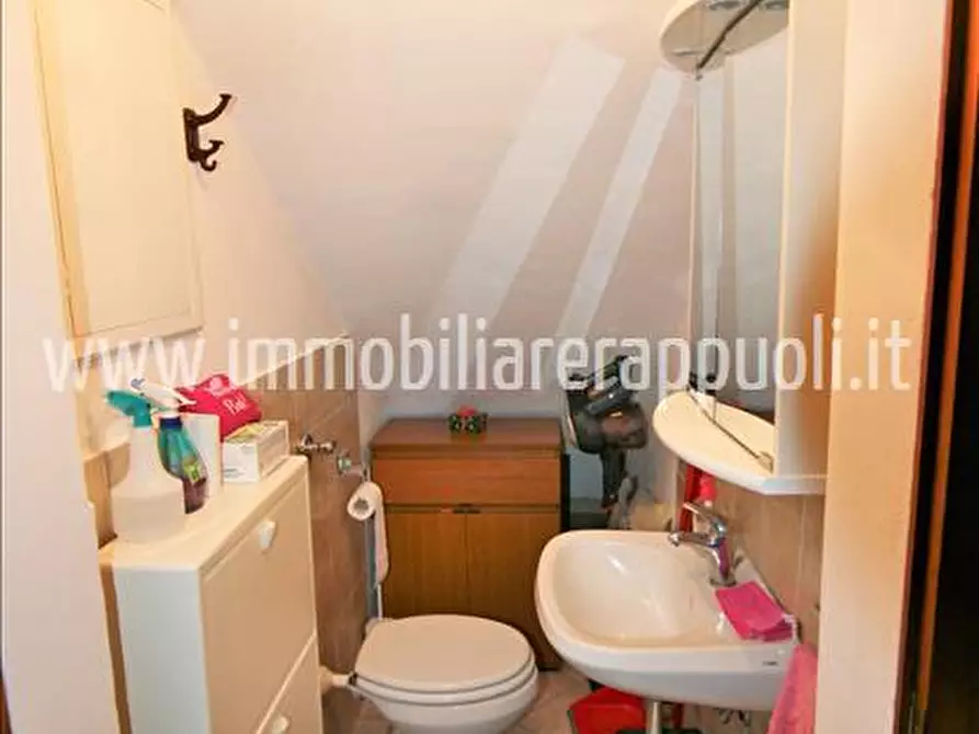 Immagine 31 di Rustico / casale in vendita  a Sinalunga