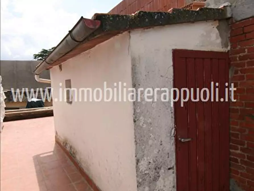 Immagine 6 di Appartamento in vendita  a Foiano Della Chiana