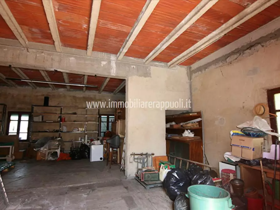 Immagine 3 di Casa indipendente in vendita  a Trequanda