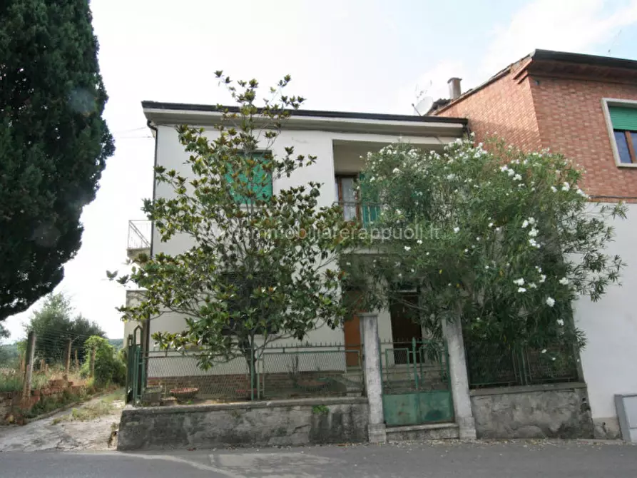 Immagine 23 di Appartamento in vendita  a Torrita Di Siena