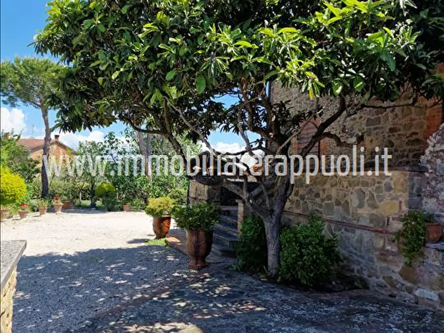 Immagine 3 di Rustico / casale in vendita  a Sinalunga