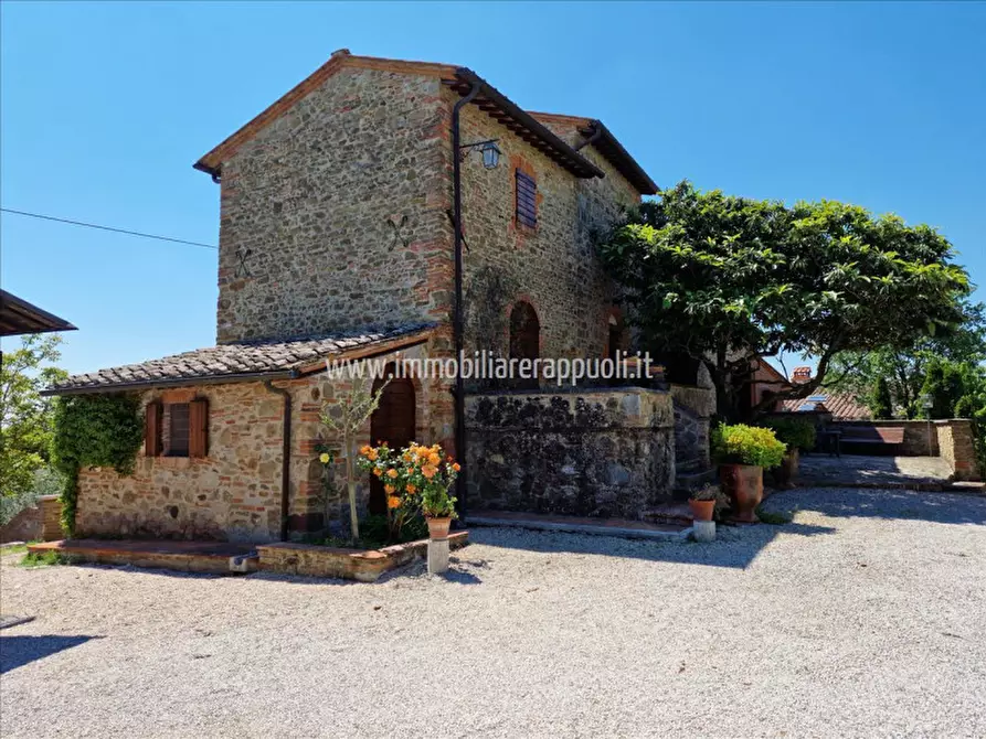 Immagine 5 di Rustico / casale in vendita  a Sinalunga