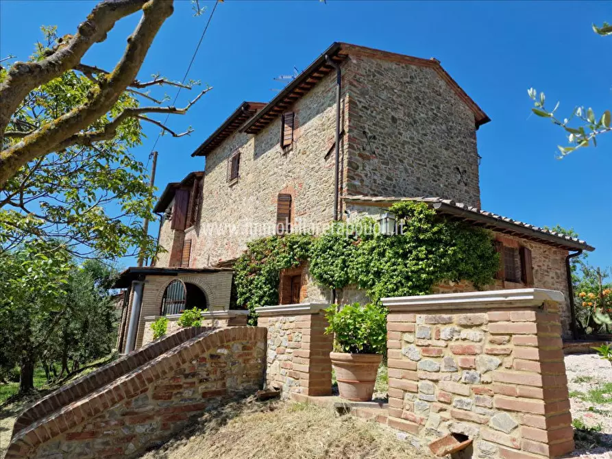 Immagine 6 di Rustico / casale in vendita  a Sinalunga