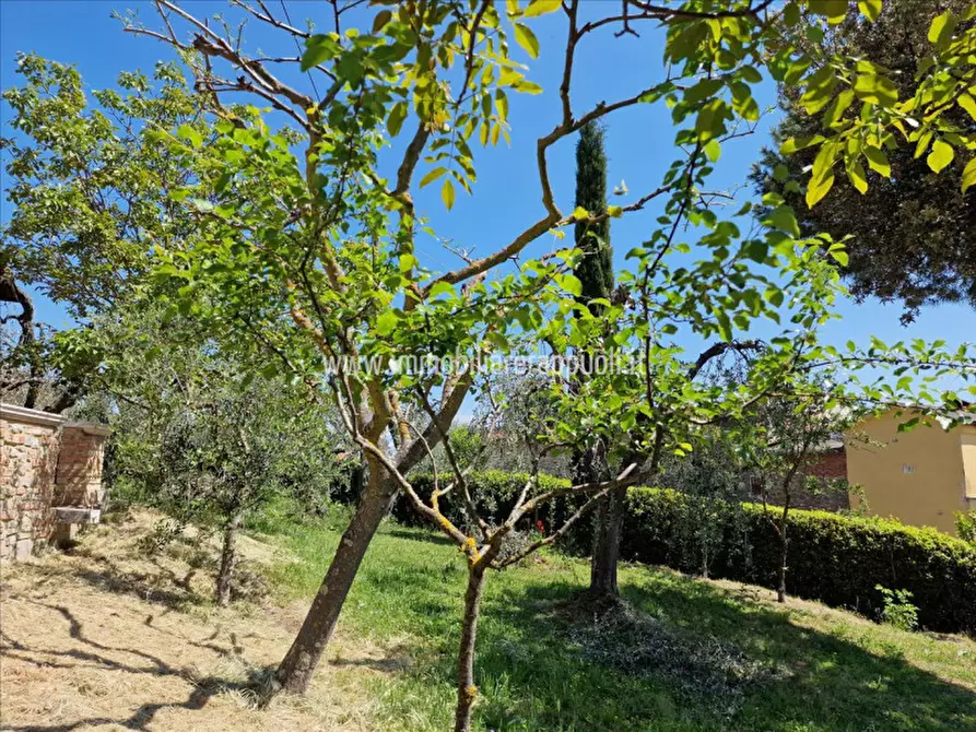 Immagine 8 di Rustico / casale in vendita  a Sinalunga