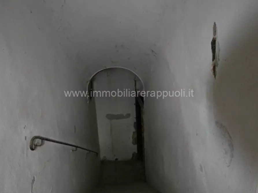 Immagine 13 di Appartamento in vendita  a Trequanda