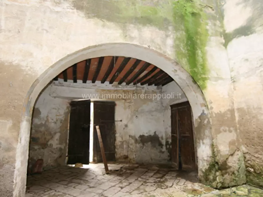 Immagine 16 di Appartamento in vendita  a Trequanda