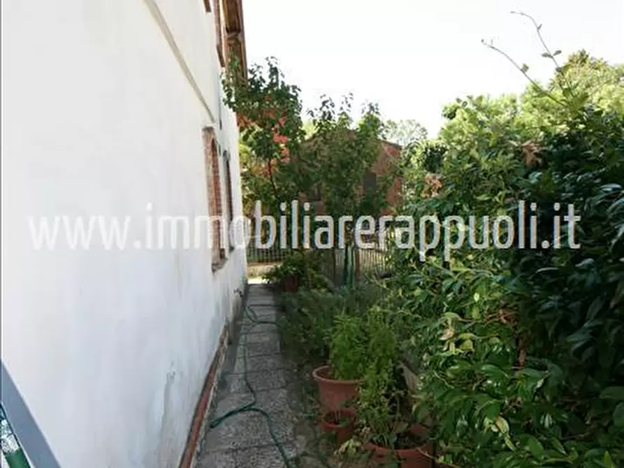 Immagine 5 di Villetta a schiera in vendita  a Sinalunga