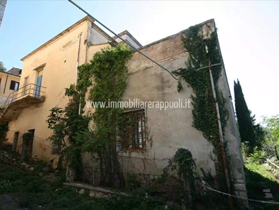 Immagine 9 di Casa indipendente in vendita  a Rapolano Terme