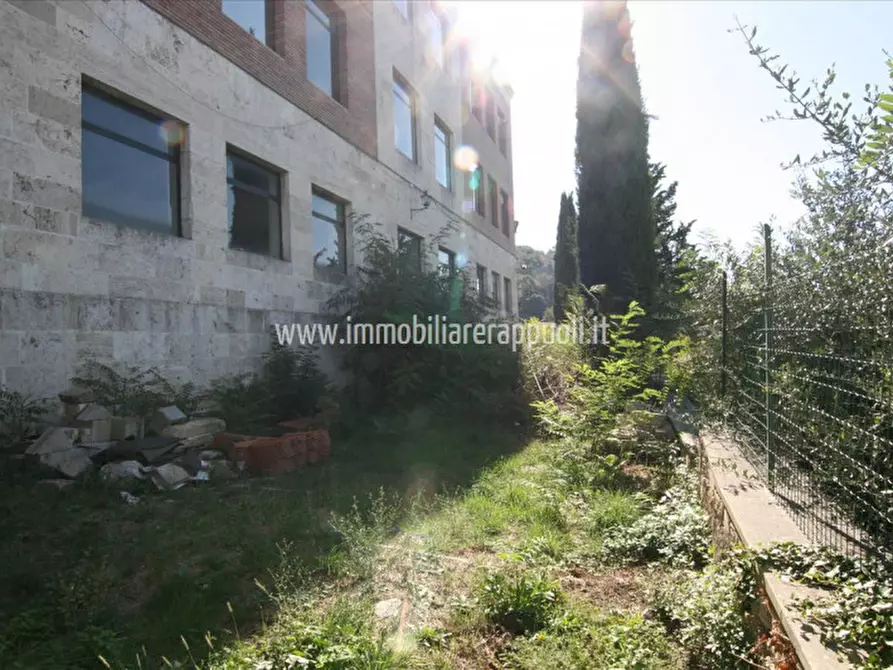 Immagine 11 di Casa indipendente in vendita  a Rapolano Terme