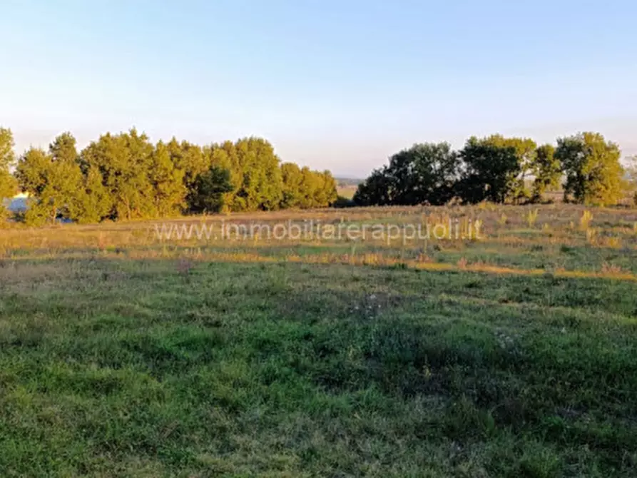 Immagine 5 di Rustico / casale in vendita  a Lucignano