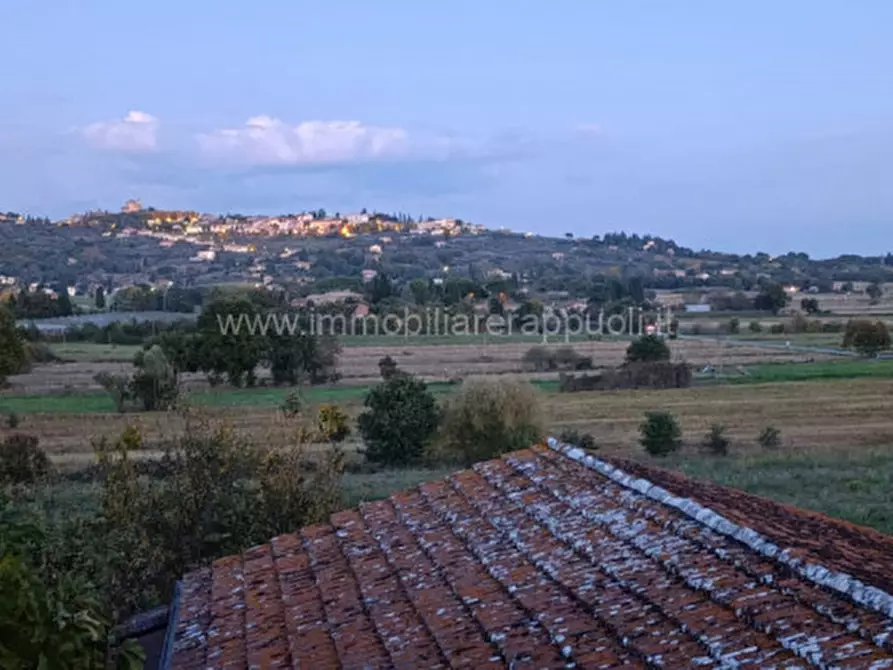Immagine 6 di Rustico / casale in vendita  a Lucignano