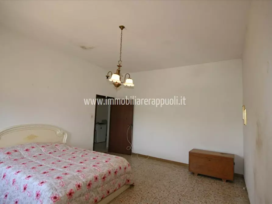 Immagine 6 di Rustico / casale in vendita  a Lucignano