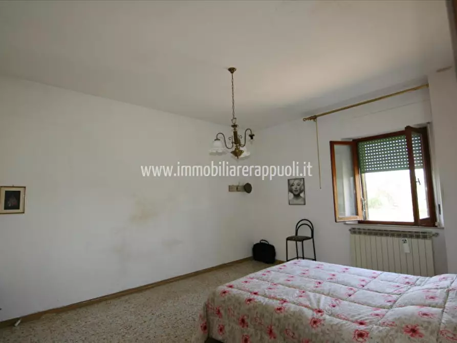 Immagine 7 di Rustico / casale in vendita  a Lucignano