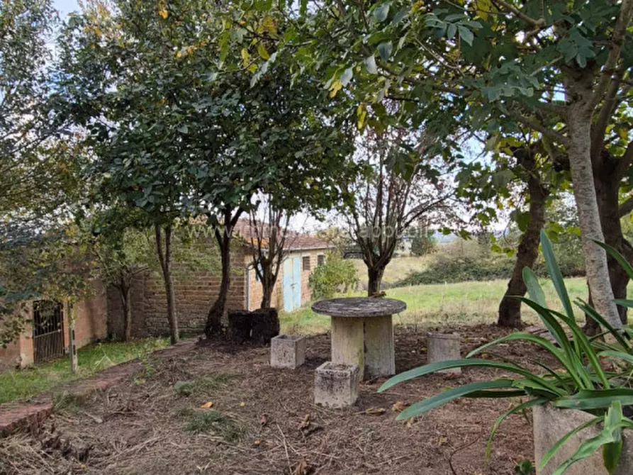 Immagine 8 di Rustico / casale in vendita  a Lucignano
