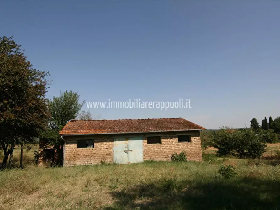 Immagine 14 di Rustico / casale in vendita  a Lucignano