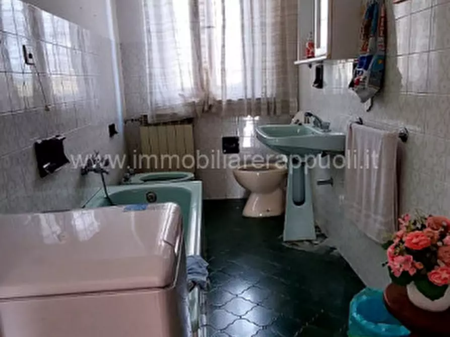 Immagine 16 di Rustico / casale in vendita  a Lucignano