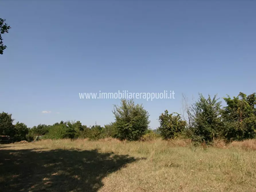 Immagine 17 di Rustico / casale in vendita  a Lucignano