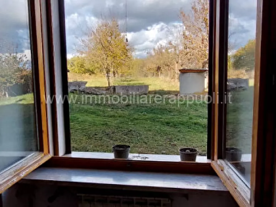 Immagine 24 di Rustico / casale in vendita  a Lucignano