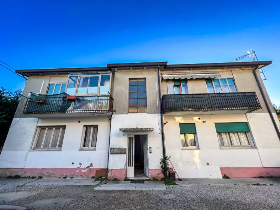 Appartamento in vendita a Vigonovo