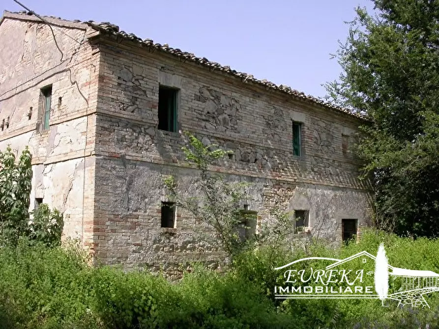 Immagine 2 di Rustico / casale in vendita  a Montefiore Dell'aso