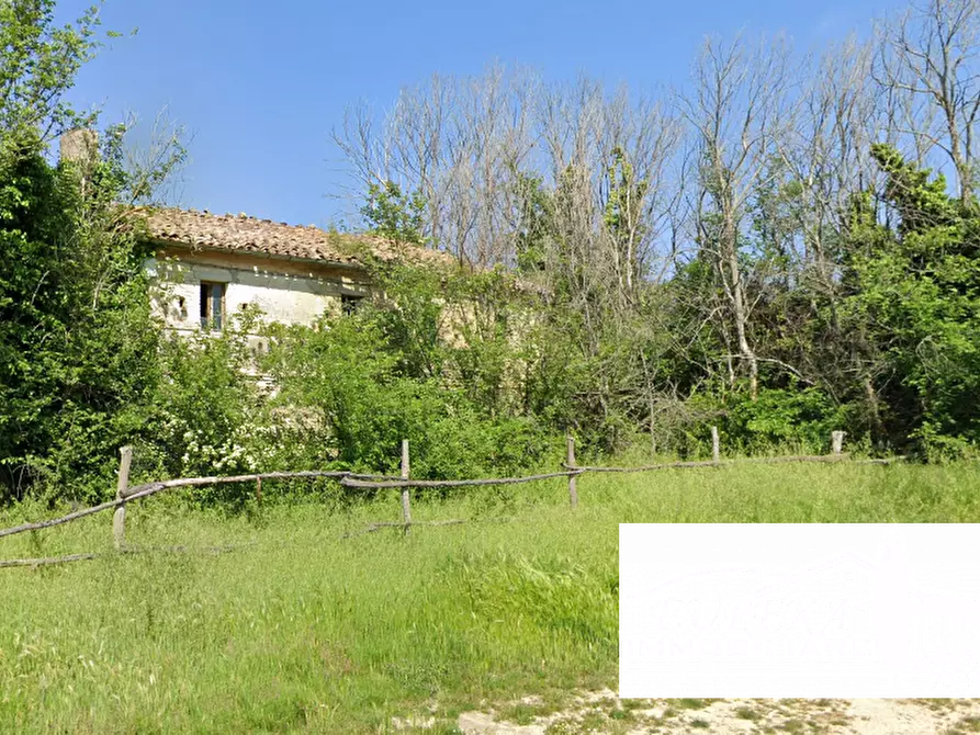 Immagine 5 di Rustico / casale in vendita  a Montefiore Dell'aso