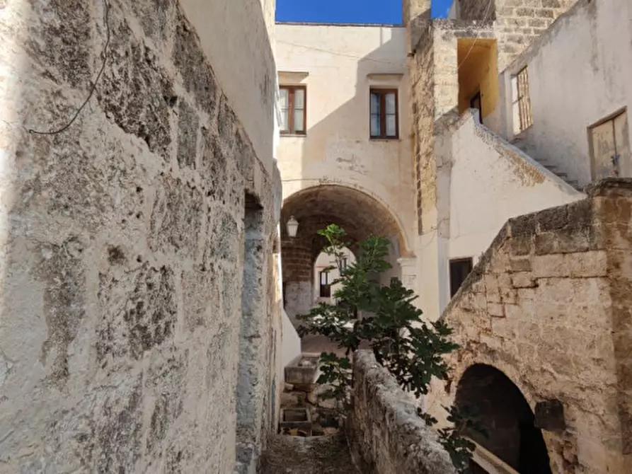 Immagine 3 di Casa indipendente in vendita  in Via Vittorio Emanuele II a Matino