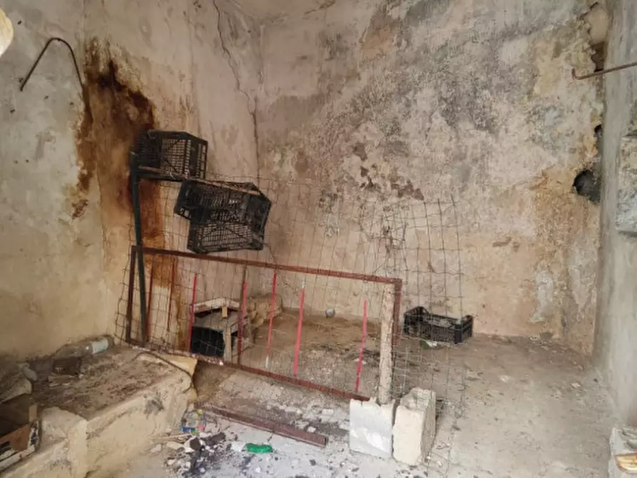 Immagine 9 di Casa indipendente in vendita  in Via Vittorio Emanuele II a Matino