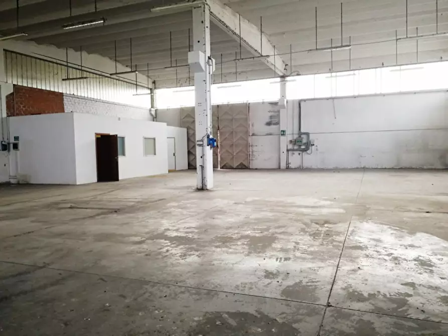 Immagine 7 di Magazzino in vendita  a Pontecchio Polesine