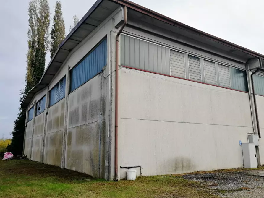 Immagine 3 di Magazzino in affitto  a Pontecchio Polesine