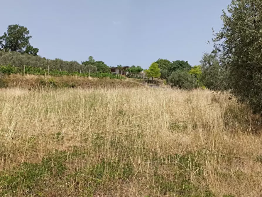 Immagine 1 di Terreno in vendita  in via palude a Puegnago Sul Garda