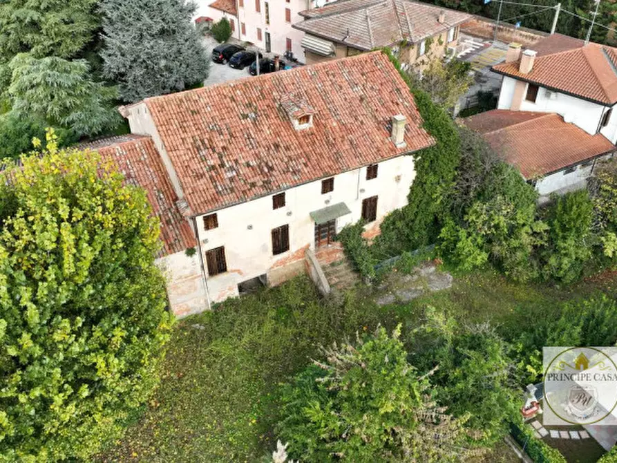 Immagine 4 di Villa in vendita  in via san matteo a San Pietro Viminario