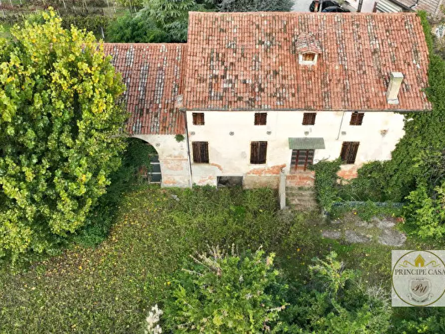 Immagine 6 di Villa in vendita  in via san matteo a San Pietro Viminario