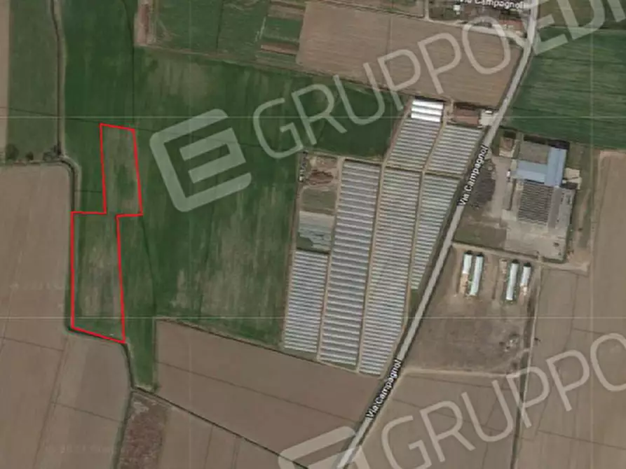 Immagine 1 di Terreno in vendita  in VIA CAMPAGNOL a Salizzole