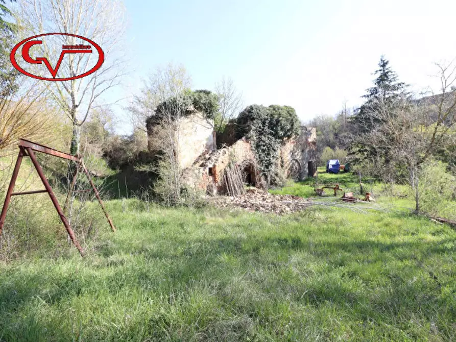 Immagine 2 di Rustico / casale in vendita  in cicogna a Terranuova Bracciolini