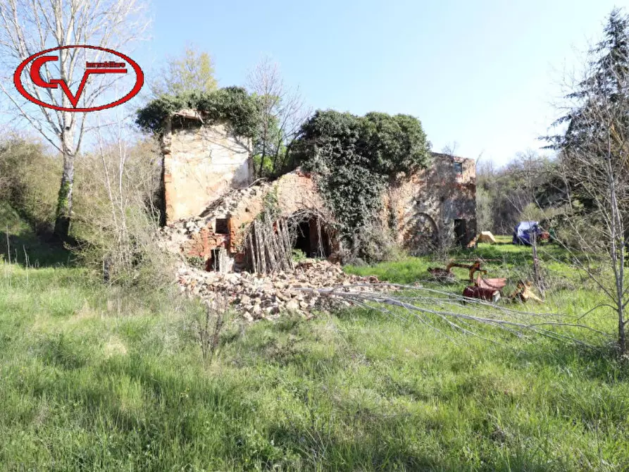 Immagine 3 di Rustico / casale in vendita  in cicogna a Terranuova Bracciolini
