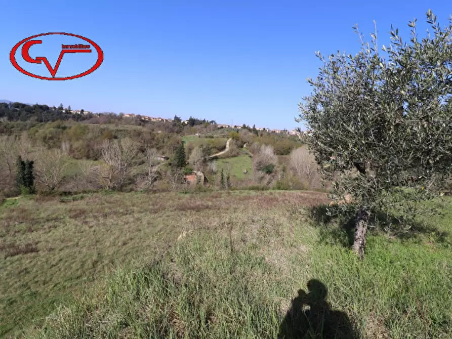 Immagine 6 di Rustico / casale in vendita  in cicogna a Terranuova Bracciolini