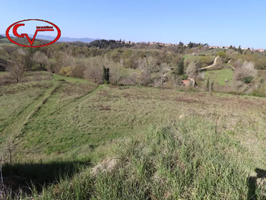 Immagine 7 di Rustico / casale in vendita  in cicogna a Terranuova Bracciolini